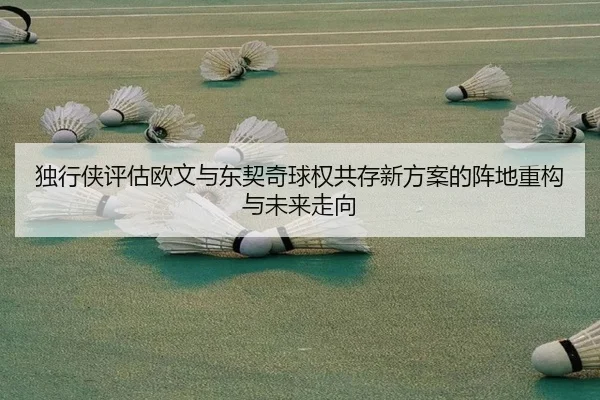 独行侠评估欧文与东契奇球权共存新方案的阵地重构与未来走向